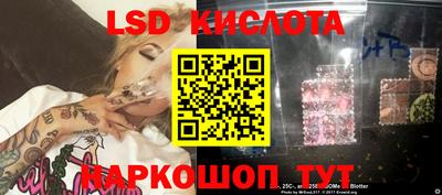 гидра Славгород