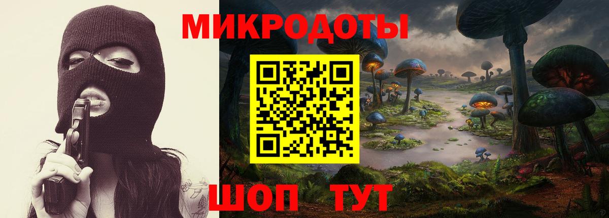 Галлюциногенные грибы мицелий Павловский Посад