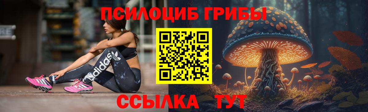 Павловский Посад  Галлюциногенные грибы Cubensis  Вход с VPN 